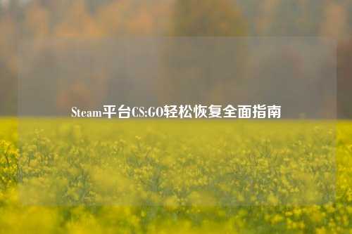 Steam平台CS:GO轻松恢复全面指南