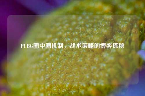 PUBG圈中圈机制，战术策略的博弈探秘