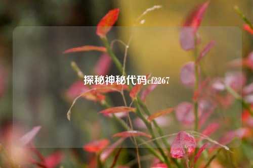 探秘神秘代码cf2267