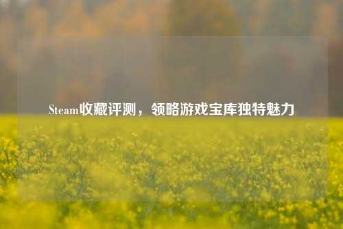 Steam收藏评测，领略游戏宝库独特魅力