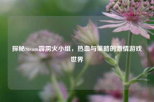 探秘Steam霹雳火小组,热血与策略的 *** 游戏世界
