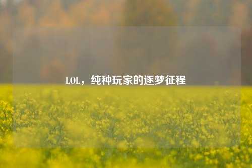 LOL,纯种玩家的逐梦征程