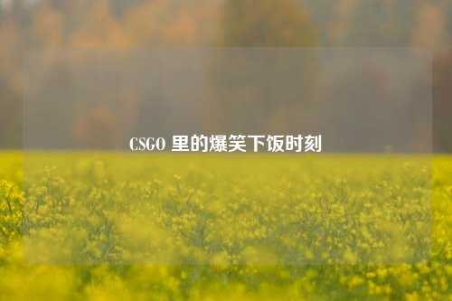 CSGO 里的爆笑下饭时刻