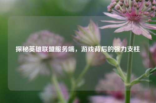 探秘英雄联盟服务端，游戏背后的强力支柱