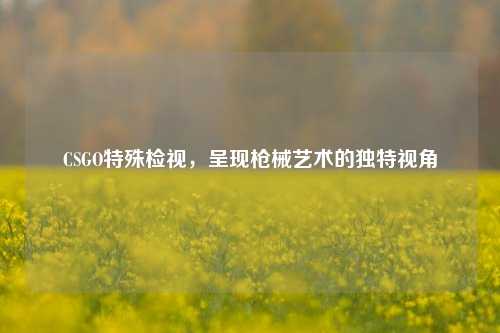 CSGO特殊检视,呈现枪械艺术的独特视角