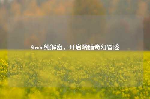 Steam纯解密,开启烧脑奇幻冒险