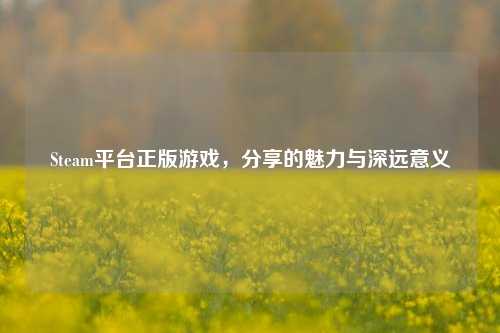 Steam平台正版游戏，分享的魅力与深远意义