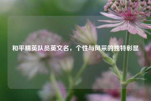 和平精英队员英文名，个性与风采的独特彰显