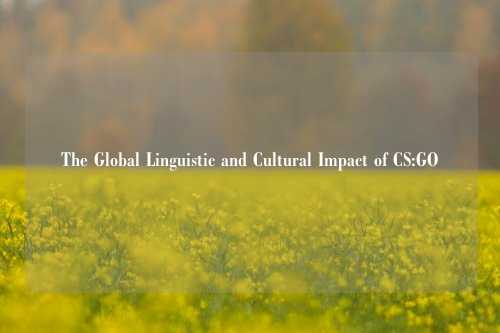 The Global Linguistic and Cultural Impact of CS:GO