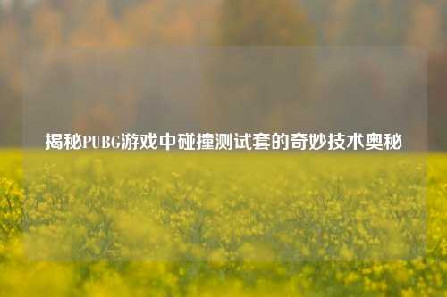 揭秘PUBG游戏中碰撞测试套的奇妙技术奥秘