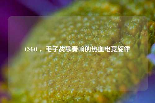 CSGO ,毛子战歌奏响的热血电竞旋律