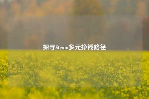 探寻Steam多元挣钱路径