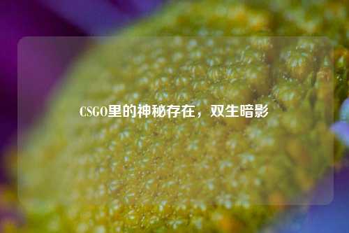 CSGO里的神秘存在，双生暗影