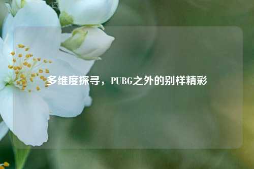 多维度探寻,PUBG之外的别样精彩