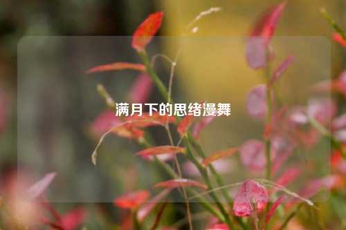 满月下的思绪漫舞