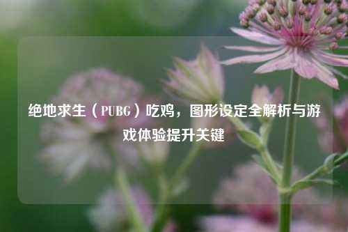 绝地求生（PUBG）吃鸡，图形设定全解析与游戏体验提升关键