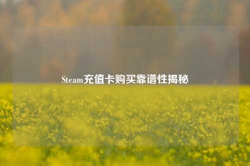 Steam充值卡购买靠谱性揭秘