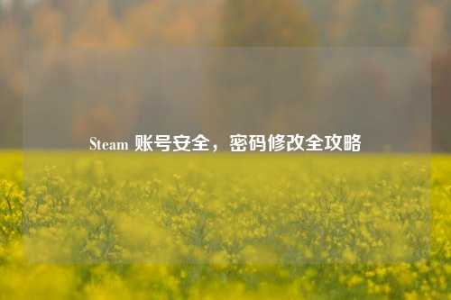 Steam 账号安全，密码修改全攻略