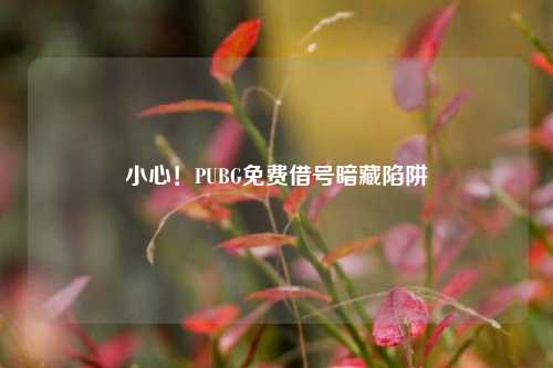 小心!PUBG免费借号暗藏陷阱