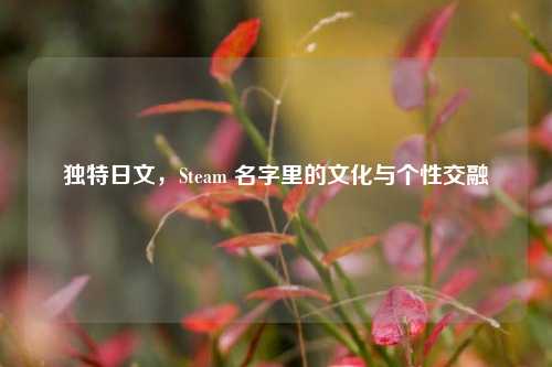 独特日文，Steam 名字里的文化与个 *** 融