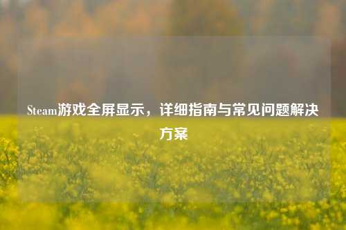 Steam游戏全屏显示，详细指南与常见问题解决方案