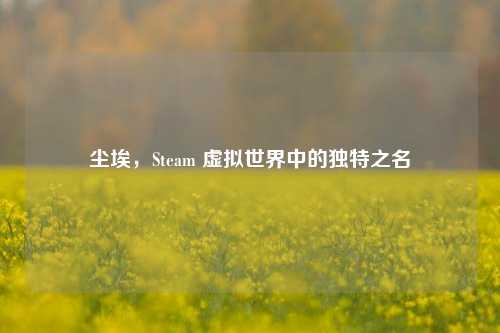 尘埃，Steam 虚拟世界中的独特之名