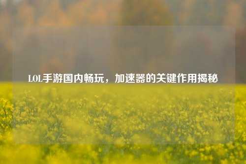 LOL手游国内畅玩，加速器的关键作用揭秘