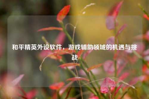 和平精英外设软件，游戏辅助领域的机遇与挑战