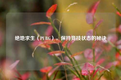 绝地求生(PUBG),保持竞技状态的秘诀