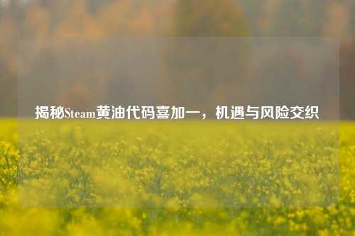 揭秘Steam黄油代码喜加一,机遇与风险交织
