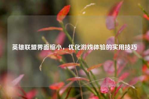 英雄联盟界面缩小，优化游戏体验的实用技巧