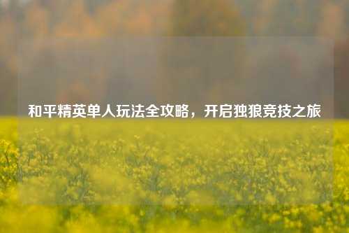 和平精英单人玩法全攻略,开启独狼竞技之旅