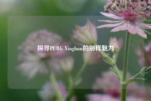 探寻PUBG Xinghun的别样魅力