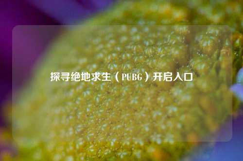 探寻绝地求生(PUBG)开启入口