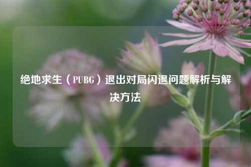 绝地求生(PUBG)退出对局闪退问题解析与解决 ***