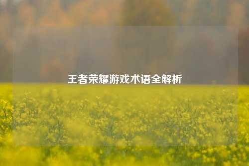 王者荣耀游戏术语全解析