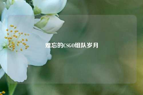 难忘的CSGO组队岁月