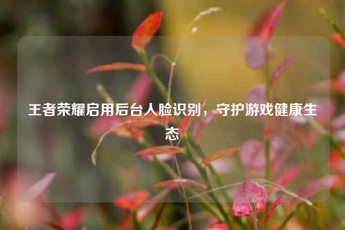 王者荣耀启用后台人脸识别，守护游戏健康生态