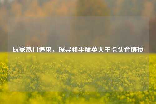玩家热门追求，探寻和平精英大王卡头套链接