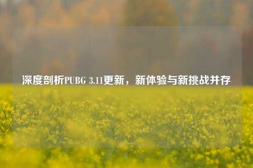 深度剖析PUBG 3.11更新，新体验与新挑战并存