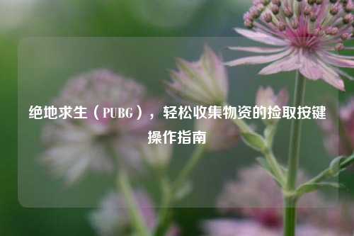 绝地求生（PUBG），轻松收集物资的捡取按键操作指南