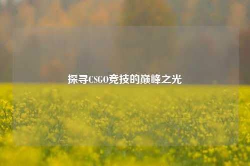 探寻CSGO竞技的巅峰之光