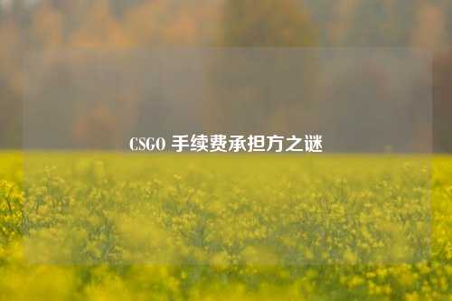 CSGO 手续费承担方之谜