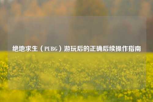 绝地求生（PUBG）游玩后的正确后续操作指南