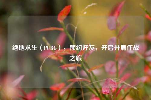 绝地求生（PUBG），预约好友，开启并肩作战之旅