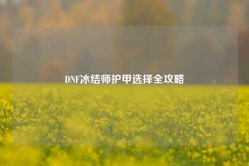 DNF冰结师护甲选择全攻略