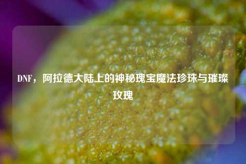 DNF，阿拉德大陆上的神秘瑰宝魔法珍珠与璀璨玫瑰