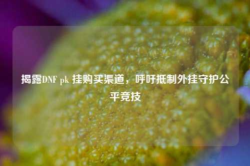 揭露DNF pk 挂购买渠道，呼吁***外挂守护公平竞技