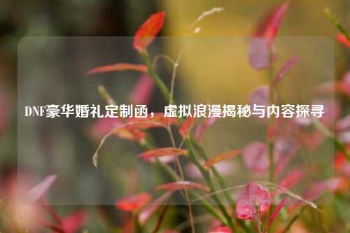 DNF豪华婚礼定制函,虚拟浪漫揭秘与内容探寻