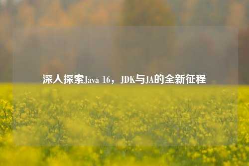 深入探索Java 16,JDK与JA的全新征程
